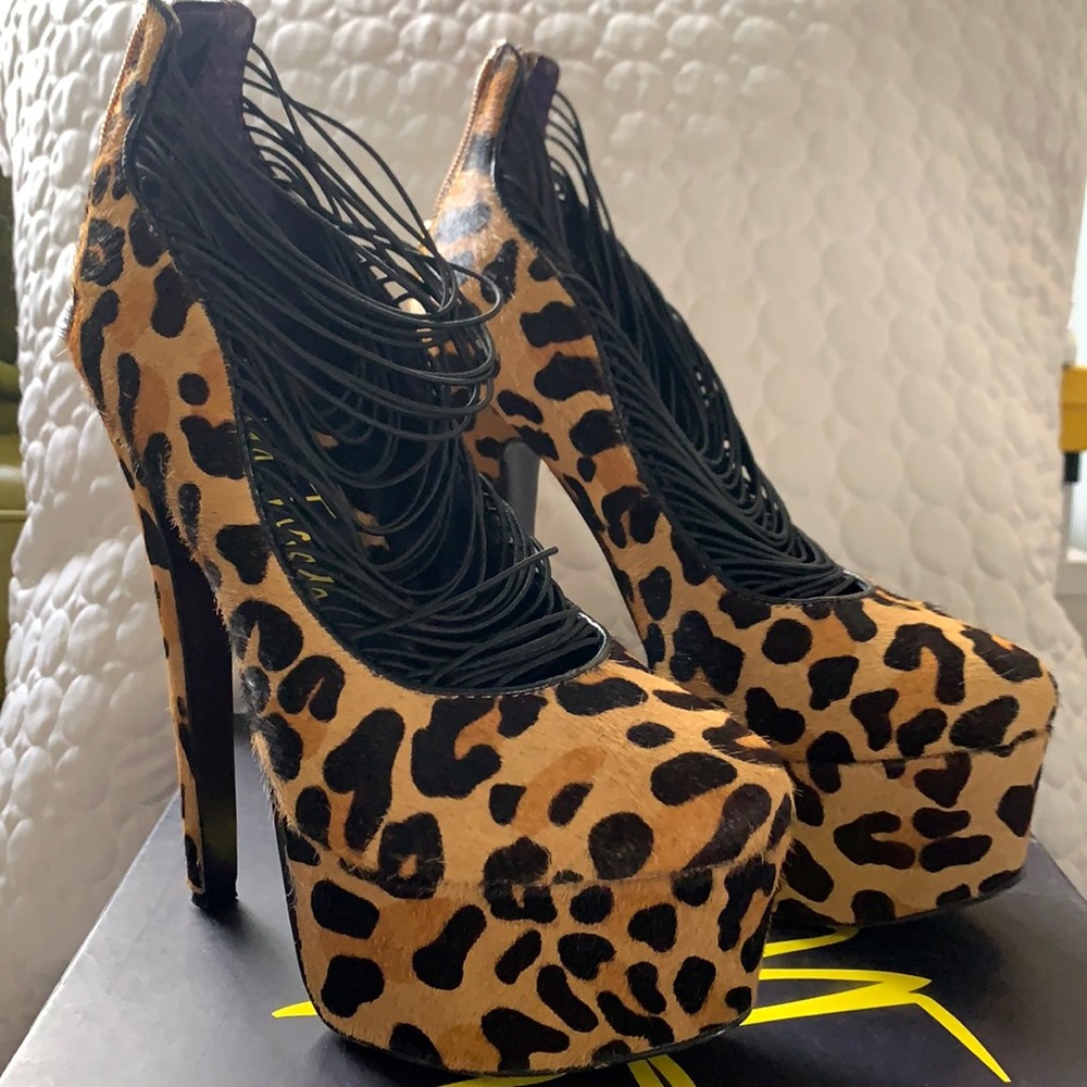 Leopards